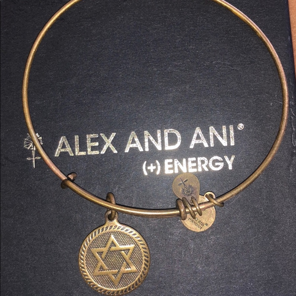 ALEX AND ANI BRACELET